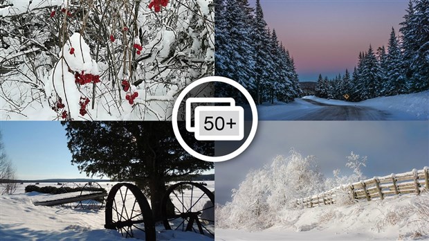 PHOTOS | L'hiver en Beauce dans toute sa splendeur (2 sur 5)