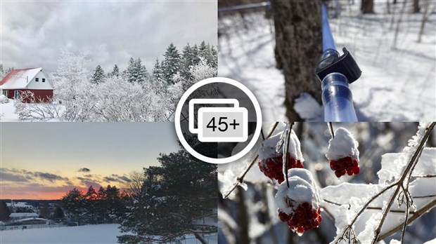 PHOTOS | L'hiver en Beauce dans toute sa splendeur (3 sur 5)