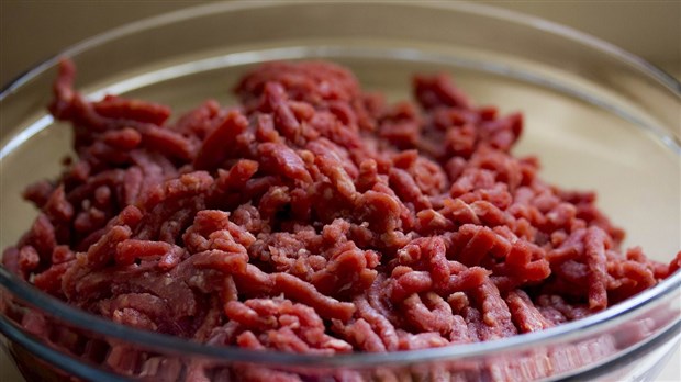 Bactérie E. coli : mise en garde pour le bœuf haché maigre Good Boucher