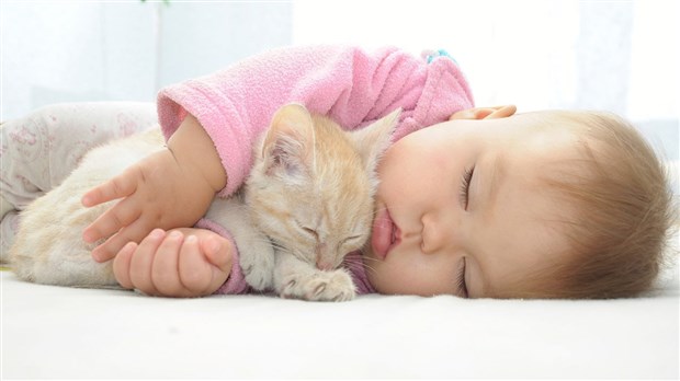 Bébé arrive, préparez votre chat !