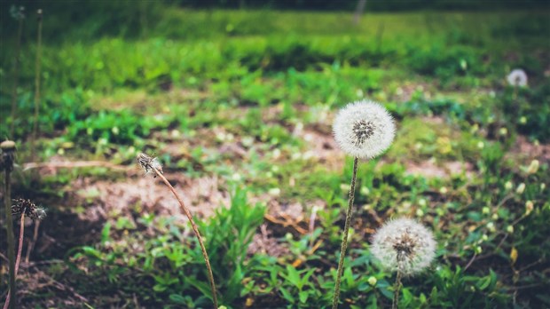 Des investissements majeurs arrivent en Chaudière-Appalaches pour le dynamisme régional