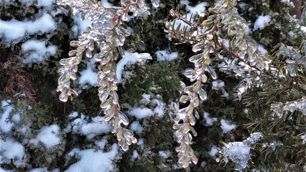 Une tempête printanière affectera la région dimanche et lundi