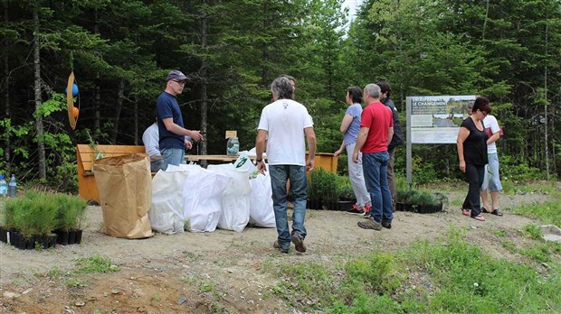 Plus de 500 arbres gratuits à la réserve naturelle de Cumberland
