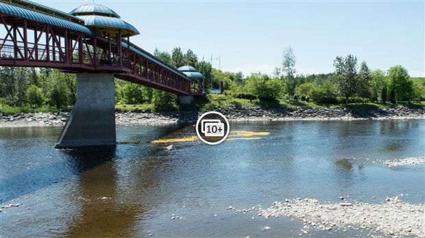 Près de 4000 canards jaunes descendent la rivière Chaudière