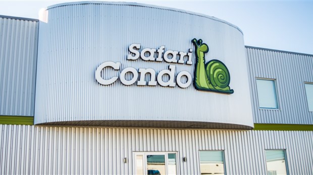 Safari Condo : les employés et la satisfaction des clients en priorité pour le futur