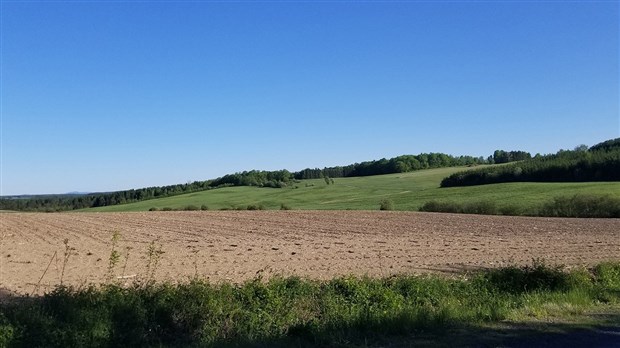 Chaudière-Appalaches : bilan de mi-saison 2018 en assurance récolte