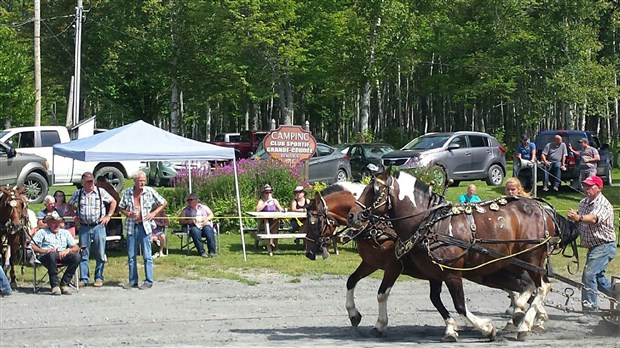La Tire de Poney du Club Sportif de St-Martin aura lieu le 18 août