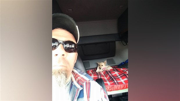 Un camionneur est décédé dans un accident aux États-Unis