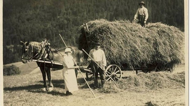 La journée agricole d'antan : un nouvel événement unique