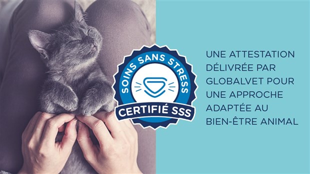 Une clinique certifiée « soins sans stress », c’est quoi?
