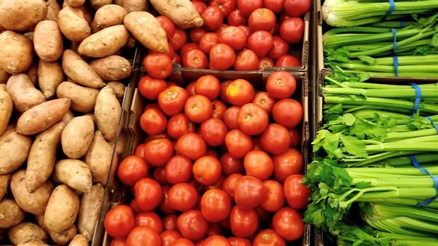 Le gaspillage, un fléau dans les épiceries ?