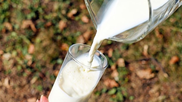 Guide alimentaire canadien : faut-il consommer moins de produits laitiers ? 