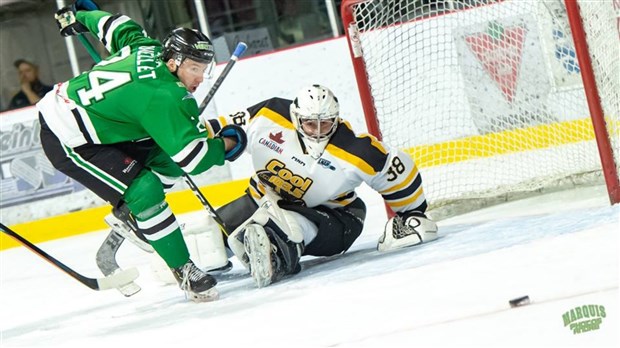 LNAH : Steven Veilleux est élu deuxième étoile de la semaine