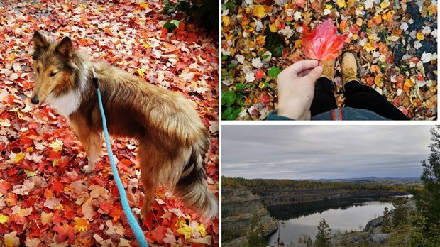 Appel de photographie : votre vision de l'automne !