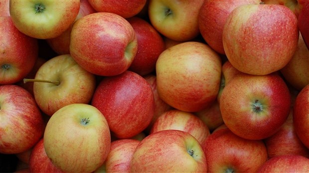 Vente de pommes au profit de l’Association des pompiers et de la Fondation du cœur Beauce-Etchemin