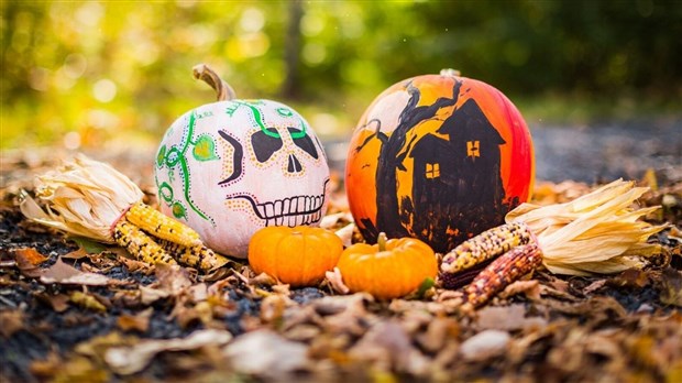 Des astuces pour réduire ses déchets à l'Halloween