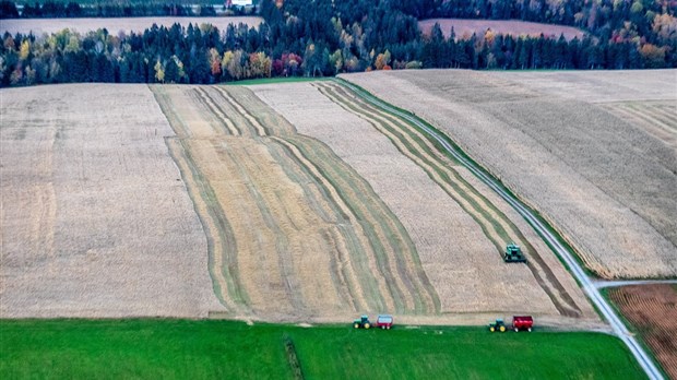 Un point de vue différent de notre belle Beauce l'automne