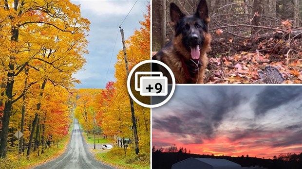 Galerie photos 2 : votre vision de l'automne !