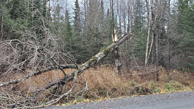 Hydro-Québec le confirme : la tempête du 1er novembre n'a rien à voir avec la crise du verglas