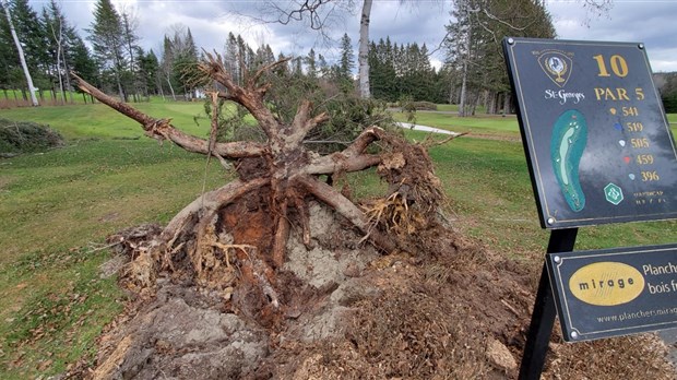 Photo-reportage : les dégâts au Club de golf Saint-Georges 