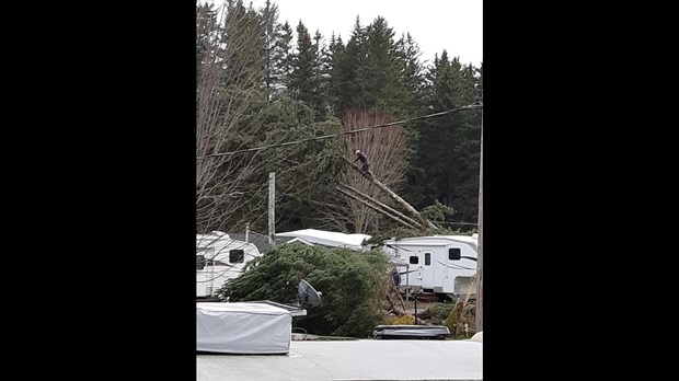 Photo-reportage : les dégats causés au camping La Roche D'or
