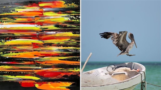 RAPPEL | Le Manoir du Quartier tiendra une exposition d’art ce samedi