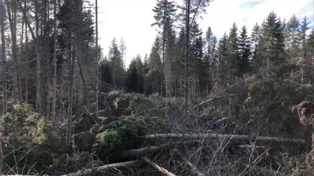 Saint-Benjamin et Sainte-Rose-de-Watford pourront recevoir une aide financière