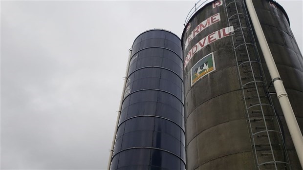 La CNESST publie son rapport sur l'accident de 2018 à la Ferme Rodveil Holstein de Saint-Simon