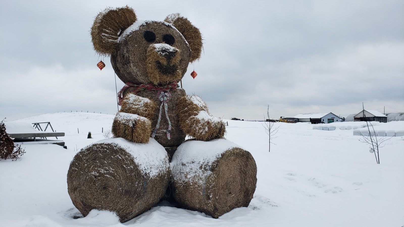 Les Oursons Qui Ont Sauvé Noel Un ourson de Noël géant à Sainte-Justine | EnBeauce.com