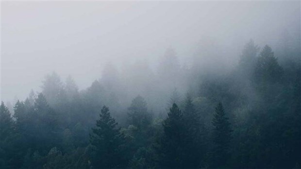 Smog : la qualité de l'air se détériore même l'hiver