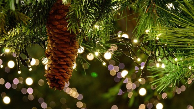 Savez-vous comment garder votre sapin naturel beau longtemps ? 