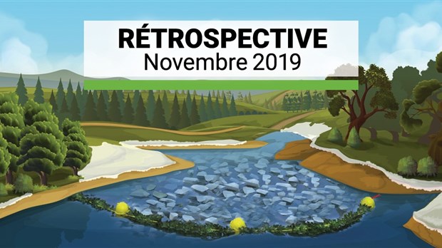 Rétrospective 2019 : les moments marquants de novembre