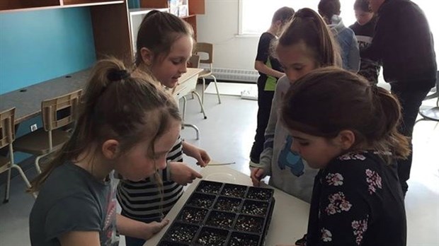 Normand DeLessard présente les jardiniers de l'école Éco-Pin