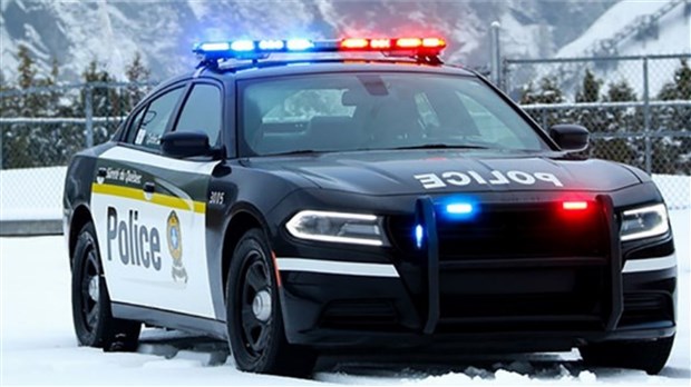 Arrestation d'une femme de 34 ans en rapport avec le trafic de cocaïne