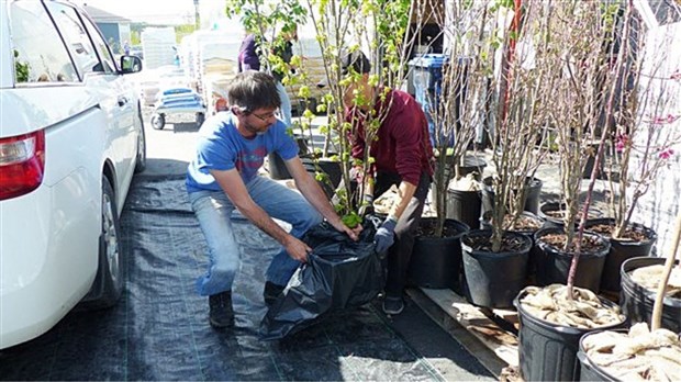 Concours « Un arbre pour l’avenir » 