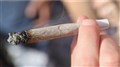 14% plus de consommateurs de cannabis depuis la légalisation