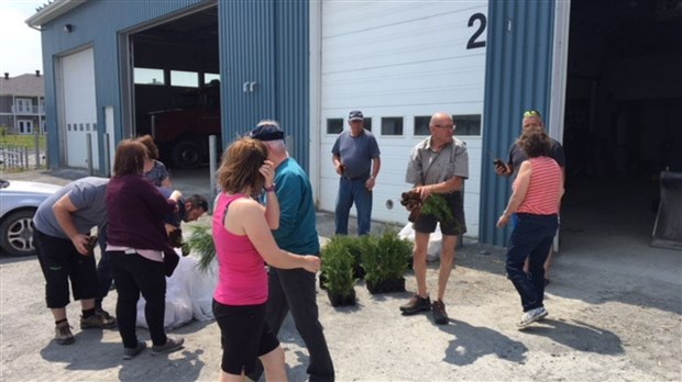 Distribution d'arbres à Saint-Prosper pour le mois de l'arbre