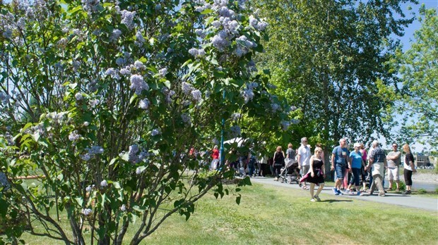 La Fête des Parfums 2019 est annulée