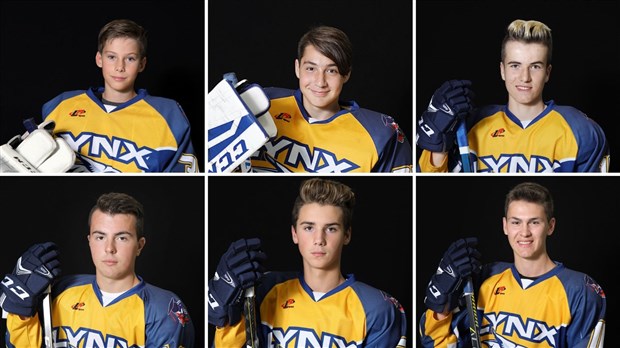 Plusieurs joueurs de hockey des Lynx au premier rang de la LHPS