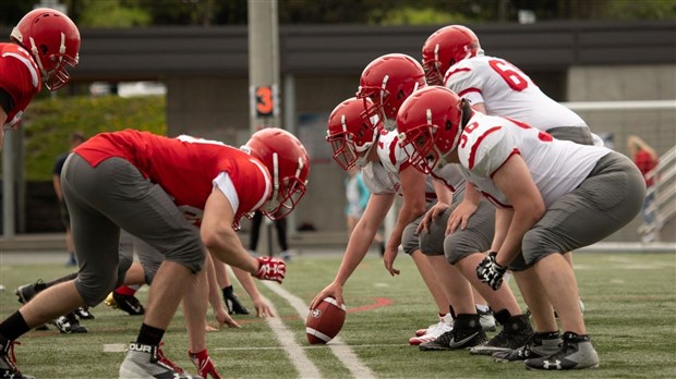 Football : les Dragons juvéniles seront à surveiller l’automne prochain