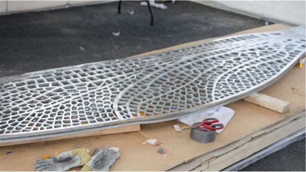 Symposium de sculpture : Jennifer Macklem et l'ode à la vie non humaine