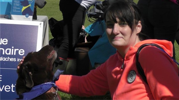 Normand DeLessard présente la Marche canine de Saint-Georges 2019