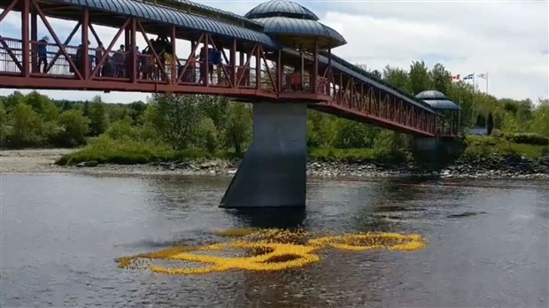 Un montant de 22 300 $ amassé lors de la Grande Course des petits canards Meubles & nous