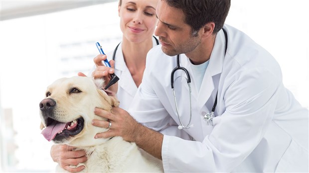 L’importance d’un examen médical annuel