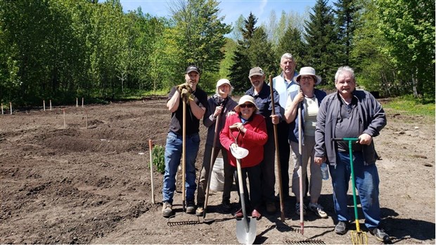 Des jardins communautaires pour la population de Saint-Benoît-Labre