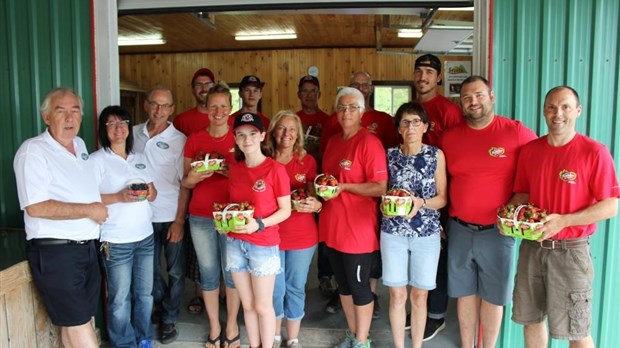 La saison des fraises sera retardée d’une semaine en Chaudière-Appalaches