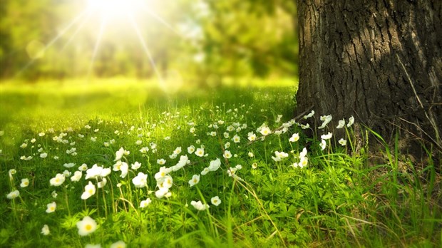 Bilan météo du mois de juillet : soleil et chaleur ! 