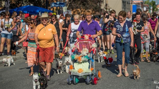 Une 4e édition pour la Parade des Poilus