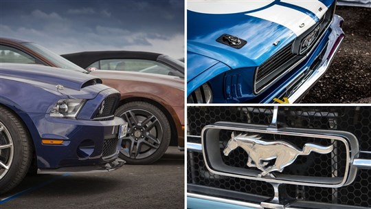 Les amateurs de Mustang se rassembleront pour le Rendez-vous Mustang Cliche Auto Ford de Vallée-Jonction