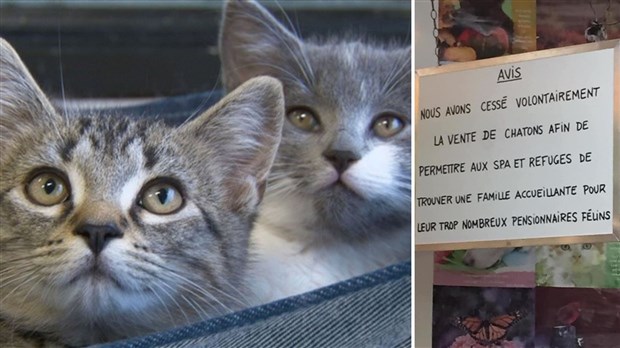 L'animalerie du Carrefour de Saint-Georges fait un geste pour la S.P.A